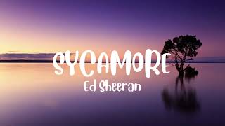 Ed Sheeran - Sycamore (Lyrics)