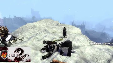 [Guild Wars 2] - Graphic glitch/bug with my Charr