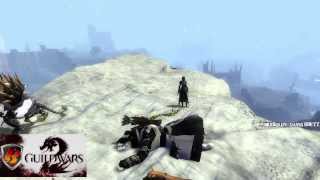 [Guild Wars 2] - Graphic glitch/bug with my Charr