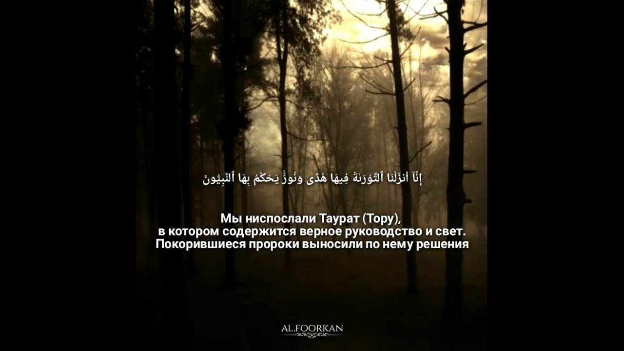 5 сура 44 аят. Nasser Alqatami.