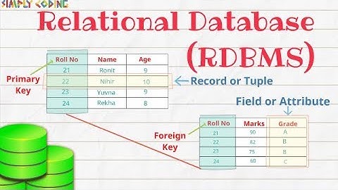 Relational Database