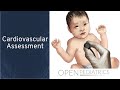 "Cardiovascular Assessment" by Brienne (Johnson) Leary, RN, BSN, CPON, CCRN