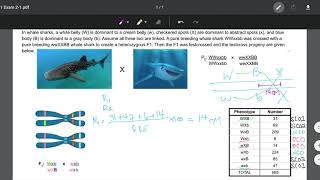 GN311: Exam 2-1