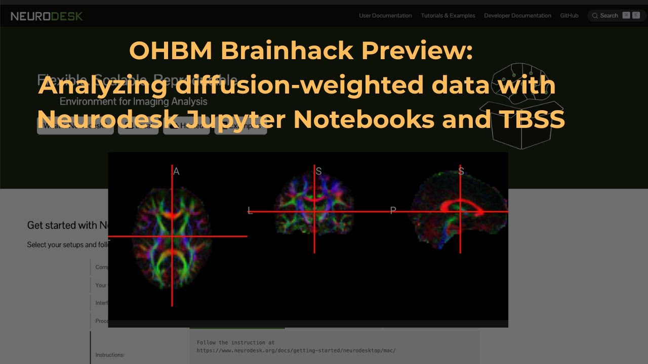 Brainhack TBSS analysis with Neurodesk and Jupyter Notebooks - YouTube