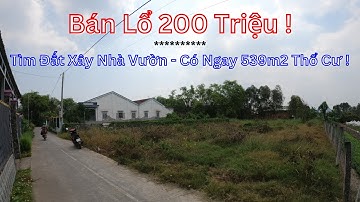 Bán Lỗ 200tr! 539m2 Đất Thổ Cư Mặt Tiền Xã Mỹ Lộc Cần Giuộc