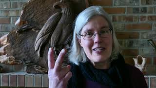 Support Ranked Choice Voting