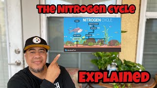 A SIMPLE EXPLANATION OF THE AQUARIUM NITROGEN CYCLE #nitrogencycle