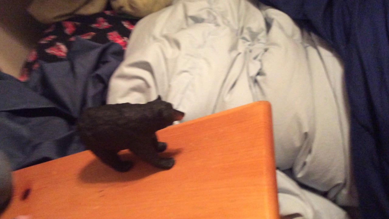 water bottle flip fail* YouTube