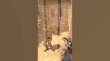 CSGO GIVEAWAY COMING SOON... SUB SO YOU DONT MISS OUT :)