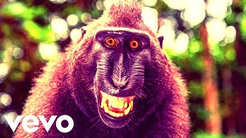 Askel & The Monkes - Return To Monkey (Official Music Video)