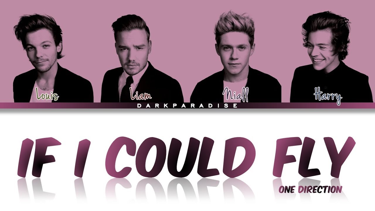One Direction - If I Could Fly (Color Coded Lyrics)