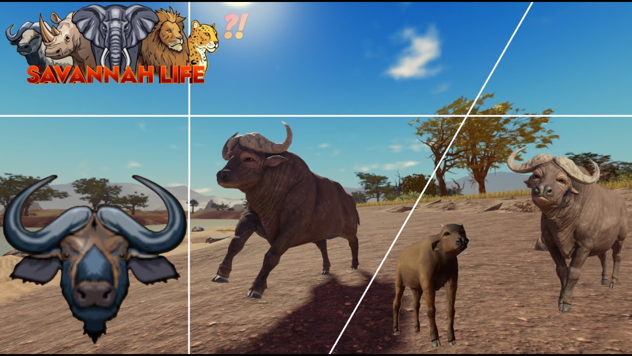 Savannah Life. 14# (Jogando de Búfalo)