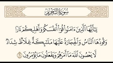 سورة التحريم الآية 6