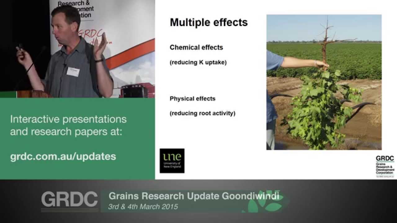 Grains Research Updates 2015 Goondiwindi Managing nutrition in