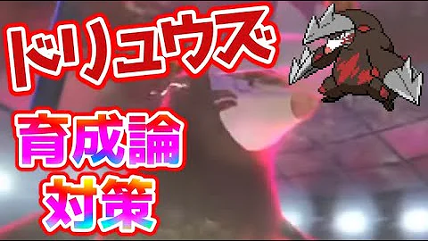 ドリュウズ 育成論