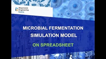 Microbial fermentation simulation model on spreadsheet
