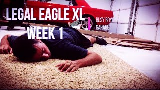 Legal Eagle XL, Week1, Busy Boy Garage