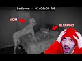 ALGO ESTÁ MAL CON SU MADRE - (Vídeo-Reacción de TERROR)