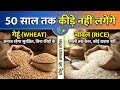 गेहूं, चावल और दाल को कीड़ों और घुन से बचाने का 100% असरदार देसी तरीका | Anaj me Kide Kaise Bachaye