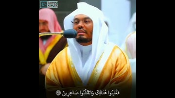 ﴿وألقي السحرة ساجدين﴾ تلاوة خاشعة للشيخ ياسر الدوسري من سورة الأعراف