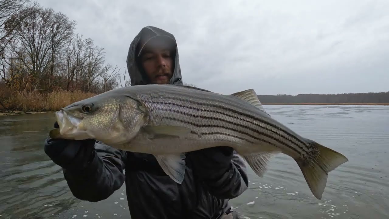 ICE COLD FINESSE FISHING FOR AMERICA'S TWO FAVORITE BASS SPECIES!