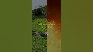 ماهر المعيقلي سورة الحشر