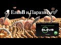 💊 Елев8 и Паразиты ! Elev8 Состав Отзывы и Результаты  ✅ Bepic