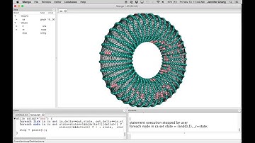 Cellular Automata Simulation on 3D Torus