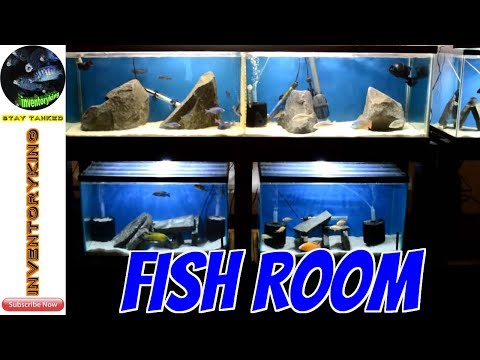 Video African Cichlids | CNZ SunSun Wavemaker Review |... - youtube