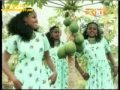Eritrean song by weldai okbazgi  24may91net