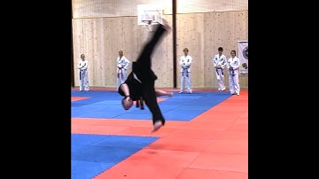 Quick Taekwondo Tricking Combo after My 4 hour Seminar in Norway 🇳🇴 #taekwondo #tricking #flip