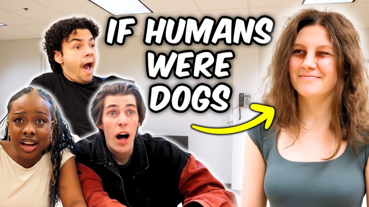 If Actors were Dog Breeds