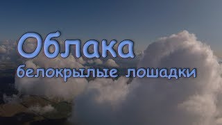 Облака- белокрылые лошадки.