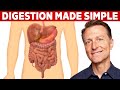 Your Digestive System Explained (in Simple Terms)