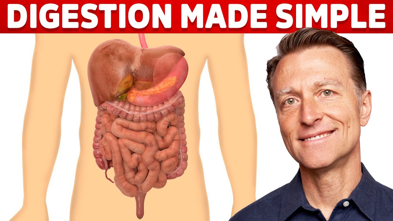 How To Have Good Digestion - Blog Eric Favre UK