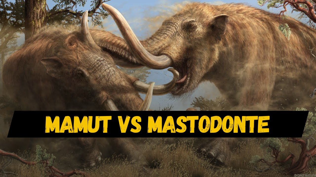 MAMUT VS MASTODONTE