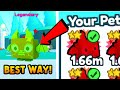 I Found The BEST WAY to Get Rainbow Samurai Dragon in Pet Simulator X Fantasy World (Roblox)