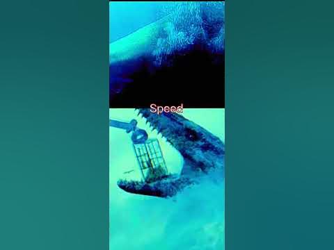 meg vs mosasaurus