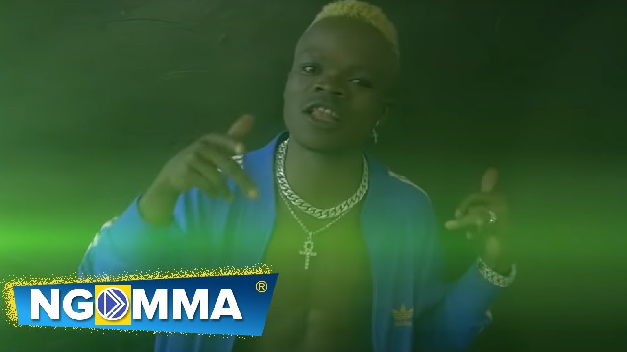 Harmorapa Ft Amberlulu - DUDE (Official Music Video)