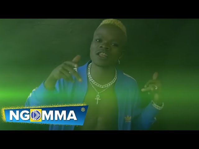 Harmorapa Ft Amberlulu - DUDE (Official Music Video) class=