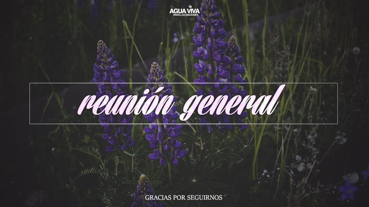 naciones unidas noticias Reunión General.- 10 de Junio del 2018
