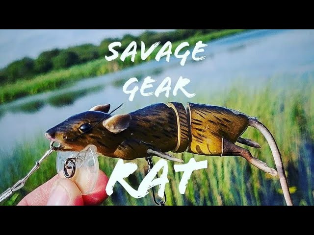 Savage Gear 3D Rad 