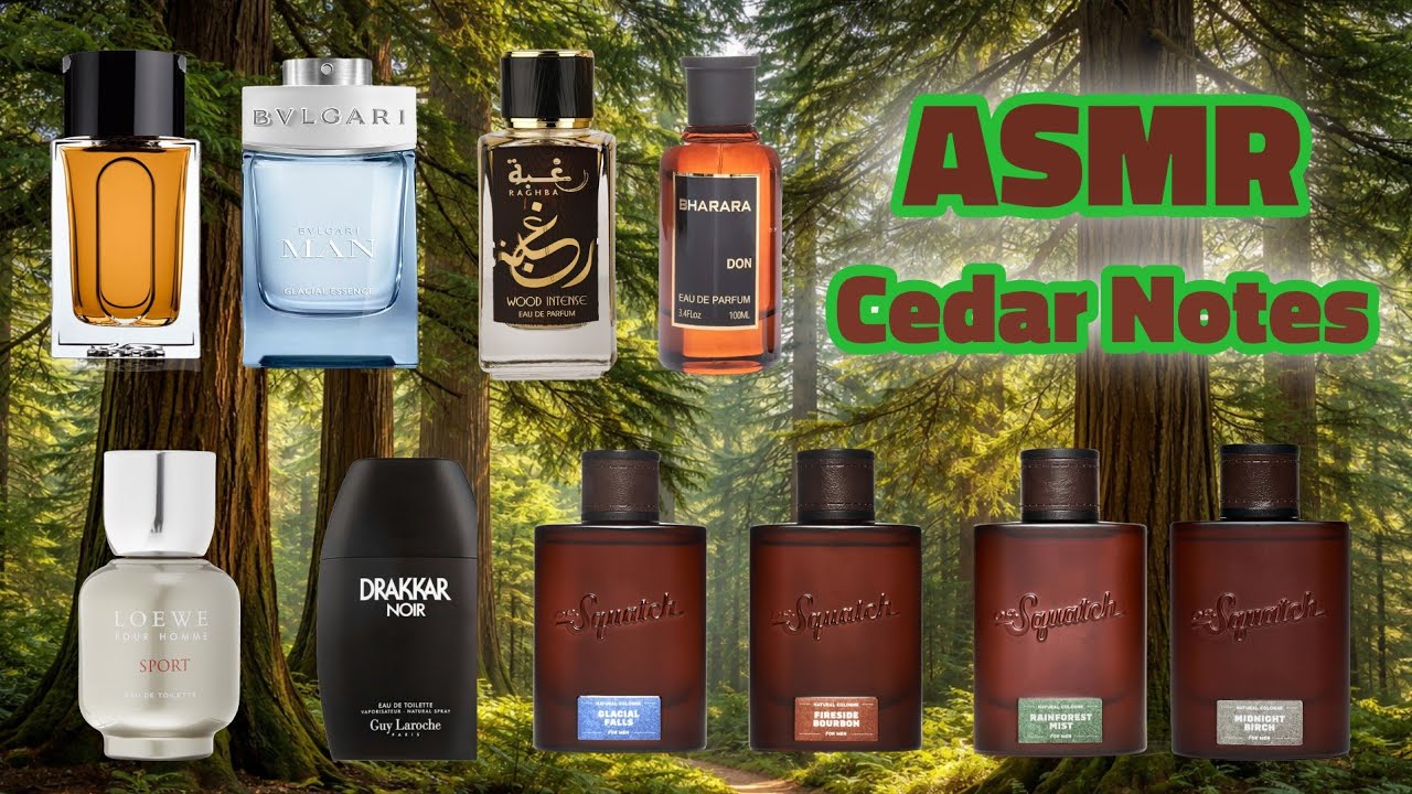 ASMR 10 Fragrances with Cedar Notes
