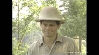 Honey Bees and Beekeeping 7 4 Fall management