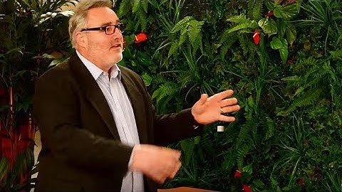 Wonderwal Artificial Hedge Screening at Riverside