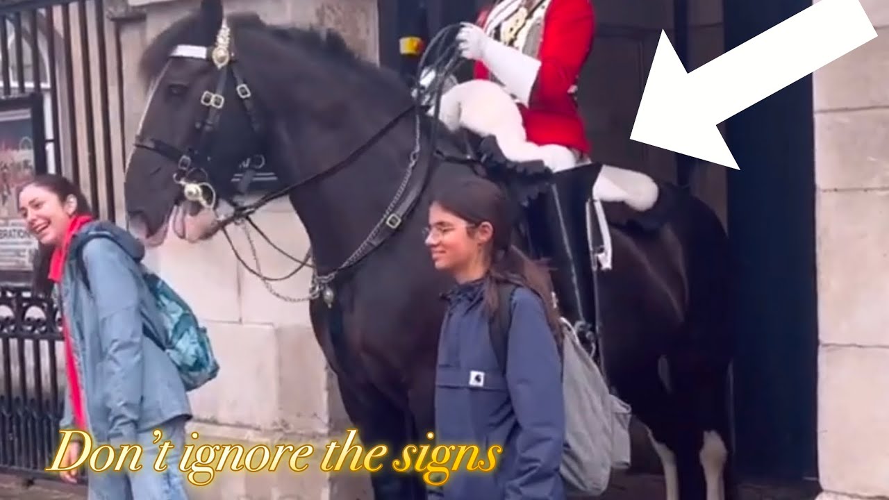 RUDE SILLY IDIOTS PROVOKED AND MESSED THE WRONG KING’S GUARD And THIS HAPPENED!!!