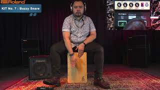 Roland Ec-10M Elcajon Mic Processor Product Performance