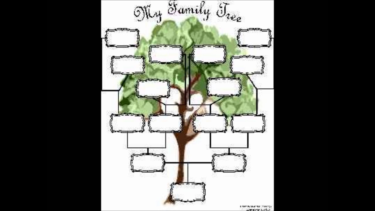 Схема дерева человека. Макет семейного дерева. Родословное дерево шаблон. Генетическое дерево. Генеалогическое дерево шаблон.
