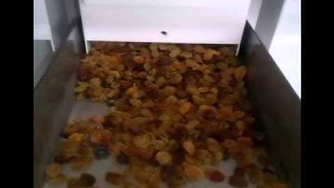 Raisin Sorter R1