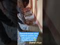 Alamarala Kosam Pose Billalu Ila Postaru Ani Naku Ippati Varaku Thelidhu Mawa Trending Foryou Fyp 